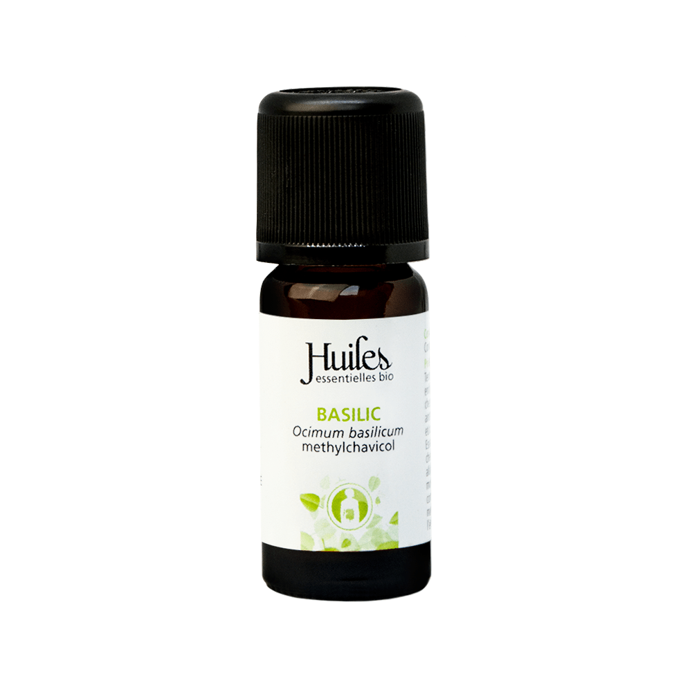 Basilic / Basilicum (Ocimum Basilicum)